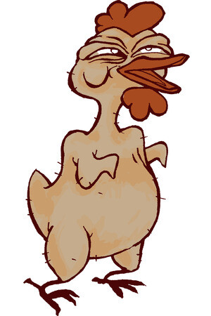 Voorkom een kale kip!